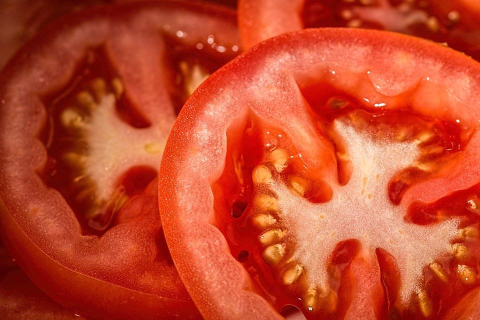Variedades de tomate en España