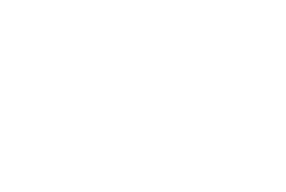 naturtable logo white